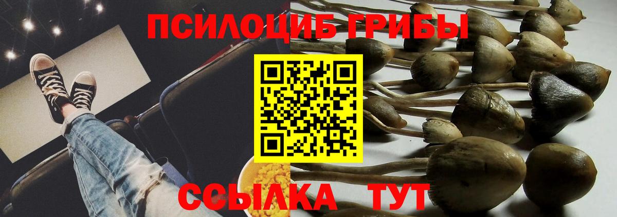 закладки  Псилоцибиновые грибы Cubensis  Вход с VPN  Котельники 